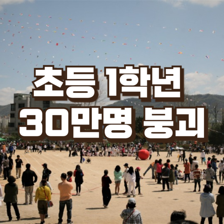  초등 1학년 '30만명 붕괴' ― '머스크의 충격 경고' 옳았다
