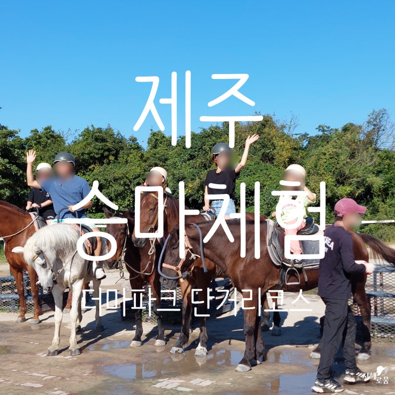라온 더마파크 승마체험 제주 가볼만한 곳