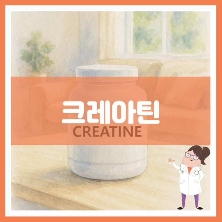  크레아틴 5가지 효능 섭취방법 부작용