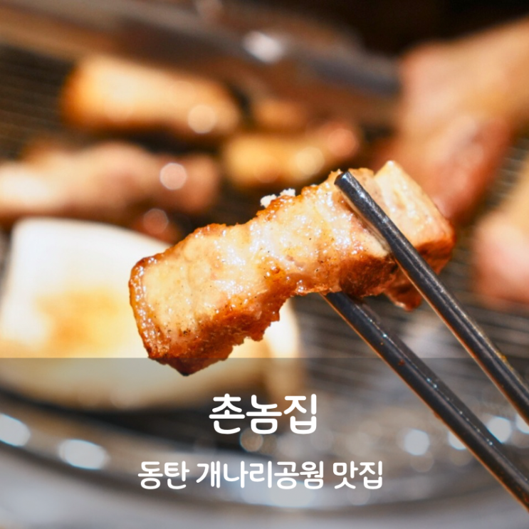  동탄 고깃집 개나리공원 회식장소 촌놈집 통삼겹살 목살 구이