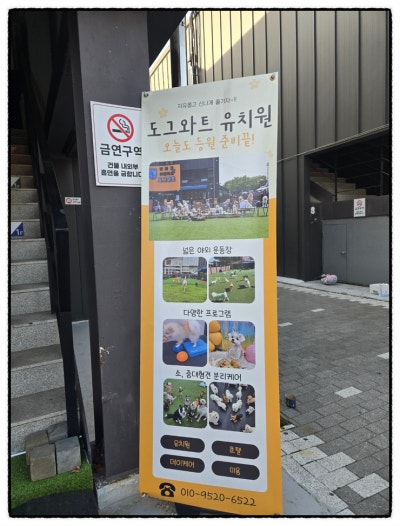 사진 5