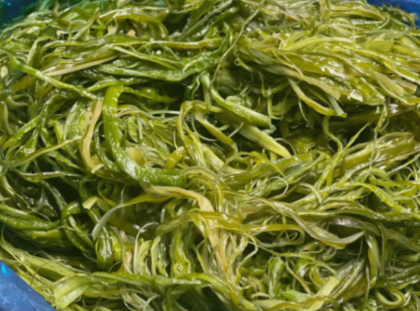 주부들이 사랑하는 맛도리 반찬만 모아놓은 쇼핑몰 !