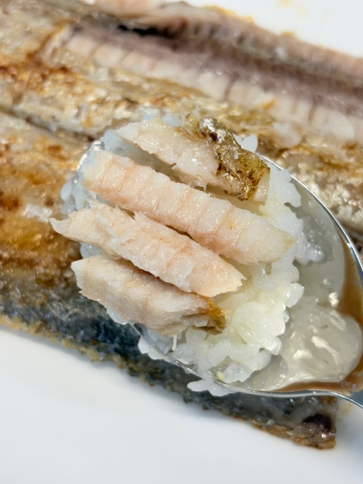  먹갈치 생선요리 추천 맛있는 갈치구이 목포낙지촌