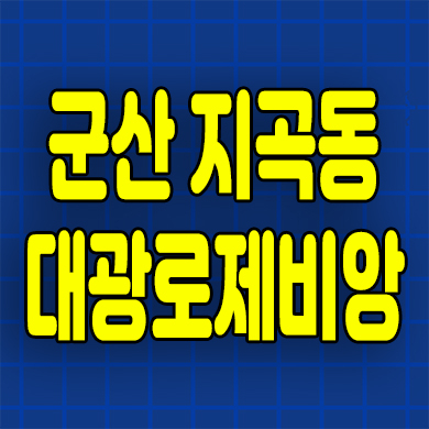  군산 대광로제비앙 임대아파트 분양전환 지곡동 즉시입주 분양가