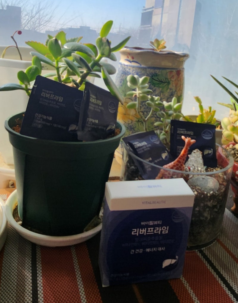 바이탈뷰티 리버 프라임 내돈 내산 리뷰  솔직 후기