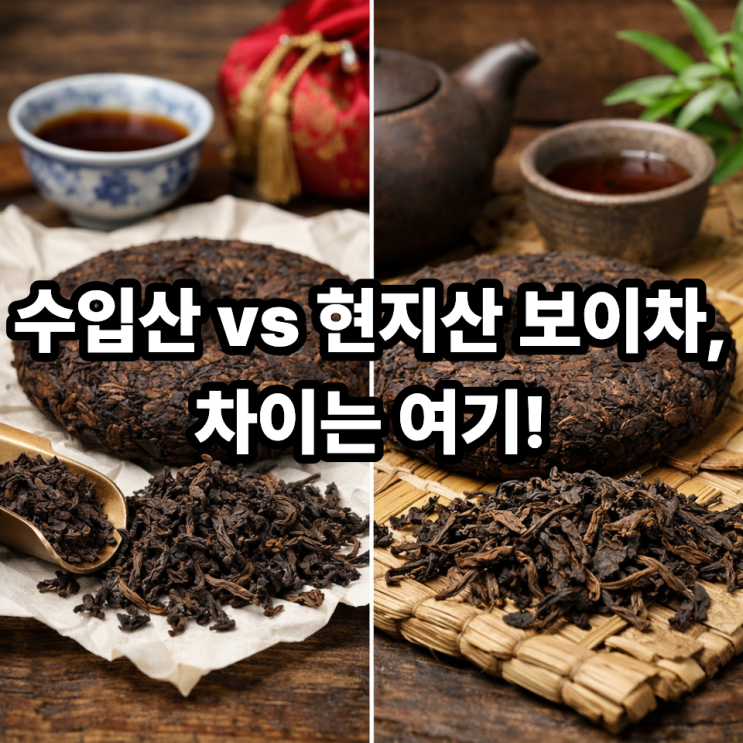   보이차 수입산과 현지산 차이｜한눈에 이해하는 핵심 포인트