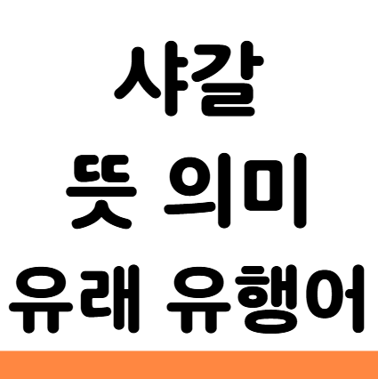  샤갈 뜻 의미 유래 유행어