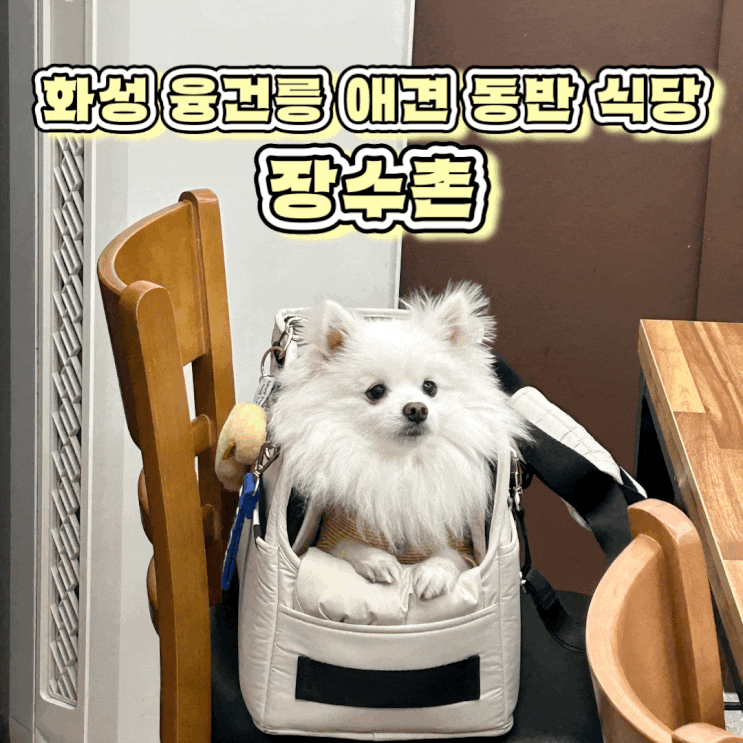  화성 봉담 융건릉 애견 동반 식당 누룽지 백숙 장수촌