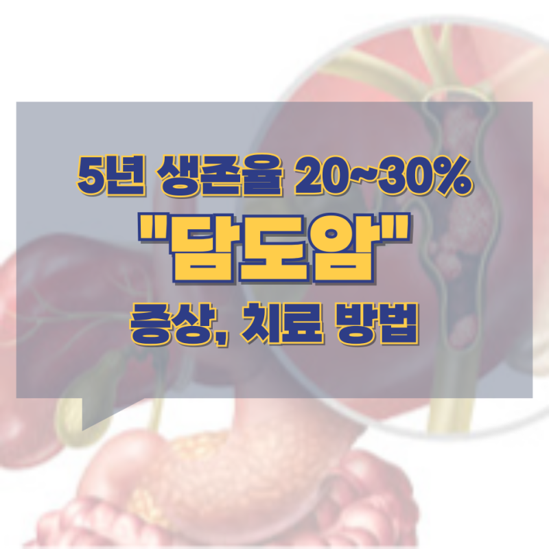 5년 생존율 20~30% "담도암" 증상, 치료 방법
