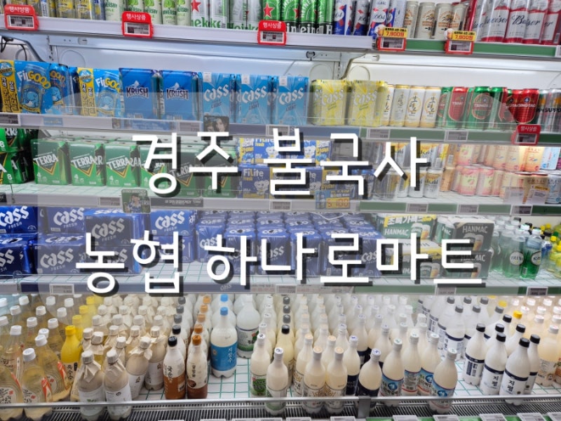경주 불국사 하나로마트 후기｜대형마트급 규모, 장보기 여기서 끝