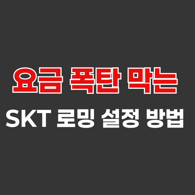 요금 걱정없는 SKT 로밍 설정 방법 총정리