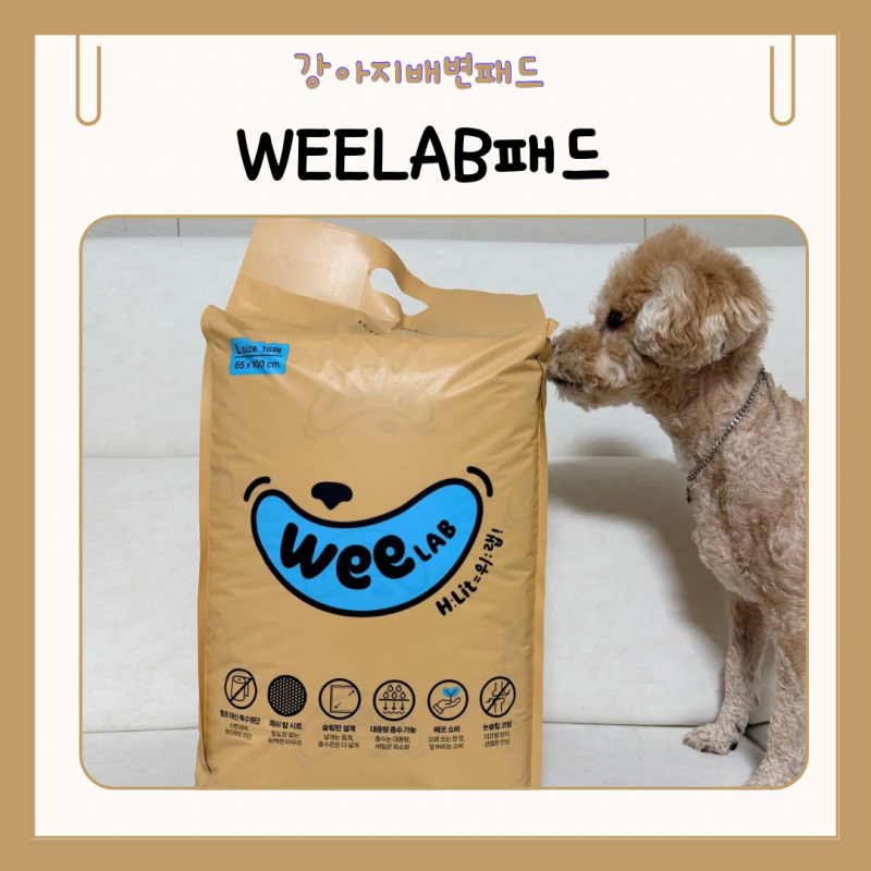 반려동물 배변패드 위랩패드 추천해요
