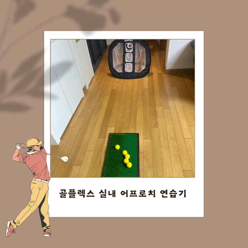 골프연습기 골플렉스 실내 어프로치 연습기