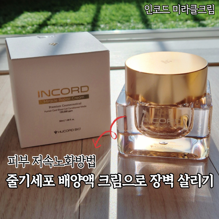 줄기세포배양액 미라클크림 속건조 잡는 고보습 인코드 리페어크림 후기
