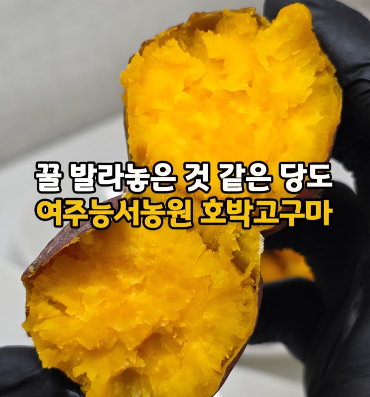  겨울간식 추천! 산지직송 무농약 여주고구마 여주능서농원 호풍미 호박고구마 5kg 리뷰
