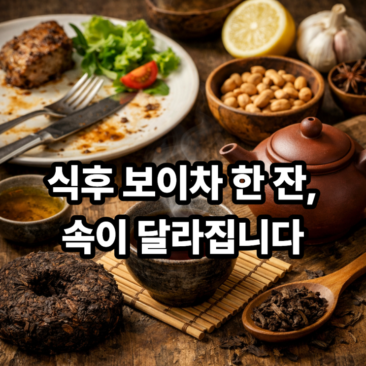   보이차 식후에 마시면 좋은 이유｜속이 편안해지는 차 한 잔