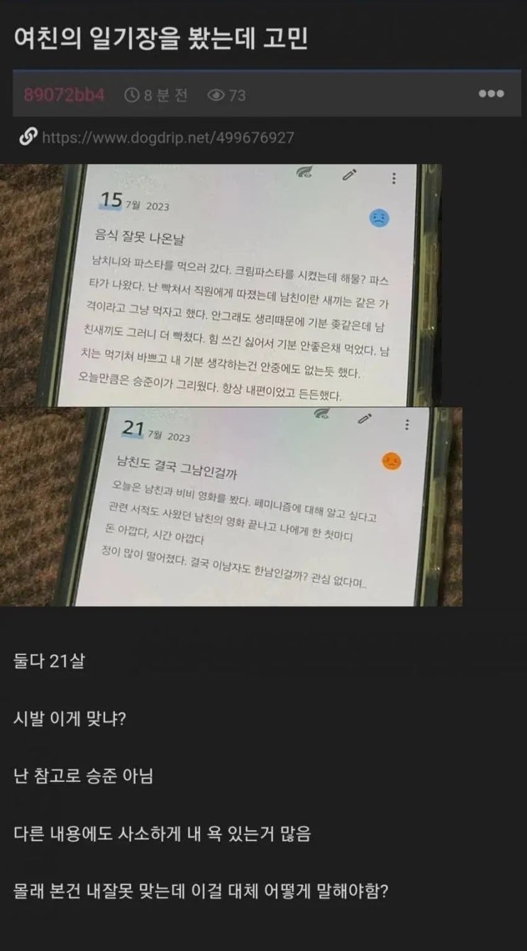  여친의 일기장을 봤는데 고민.jpg