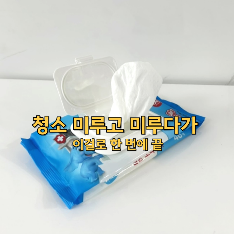 다이소 살균소독티슈로 청소 미루고 미루다 한 번에 끝낸 날