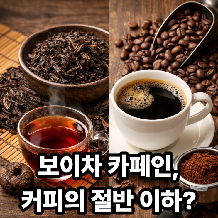  보이차 vs 커피 카페인 함량 비교｜차와 커피 어느 것이 부담 적을까?