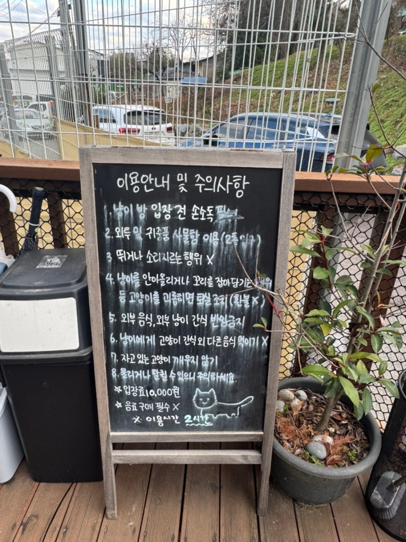 사진 4
