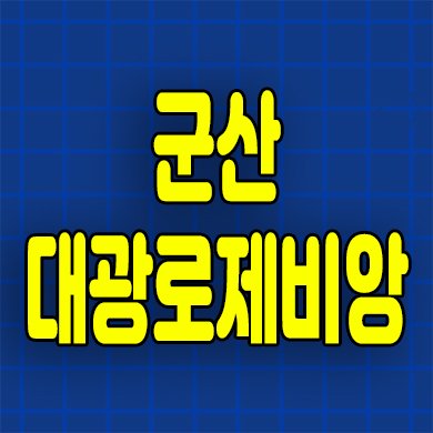  군산 옥산면 대광로제비앙 임대아파트 분양전환 분양가