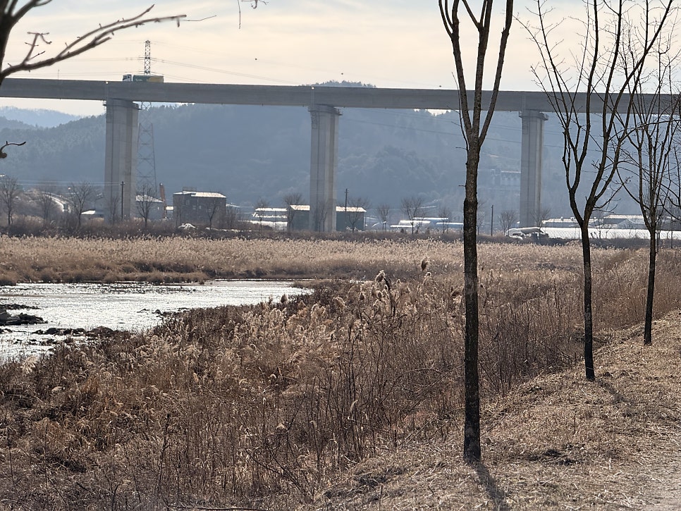 산바실골 사진 3
