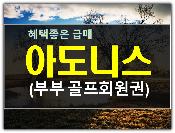  포천아도니스cc 회원권 급매. 부부혜택 정리