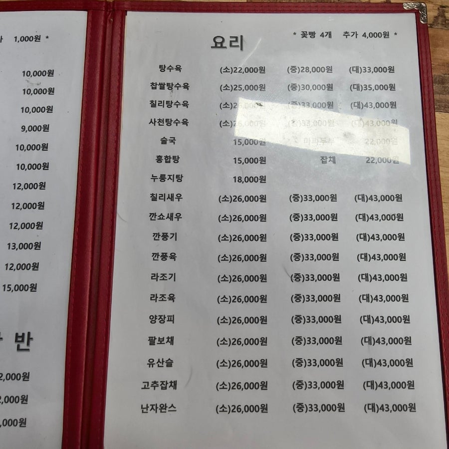 다원성 사진 6