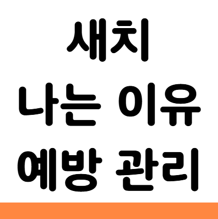  새치 나는 이유 예방 관리