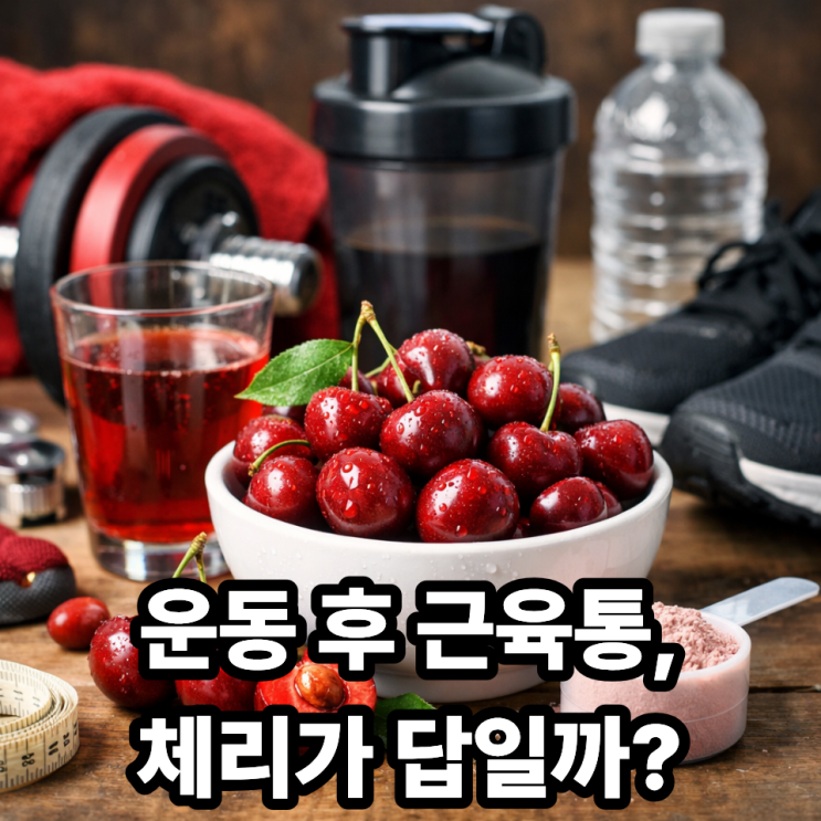  체리가 운동 후 회복에 좋은 이유｜근육통 완화·항염 효과 과학적 정리