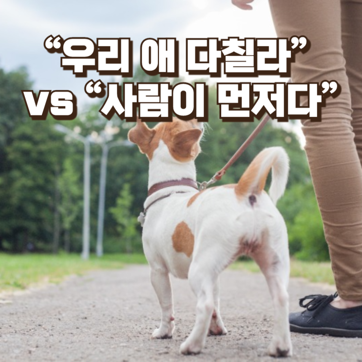 “염화칼슘 뿌리지 마요”…아파트 산책로를 둘러싼 견주 민원 논란, 누구의 안전이 우선인가
