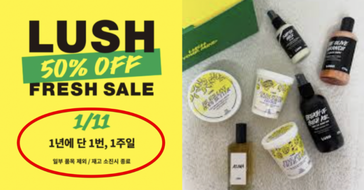  2026 러쉬 세일｜1년에 단 한 번뿐인 할인! 최대 50% 세일 품목·기간 총정리 (+오프라인·샤워젤·헤어템·배송비)