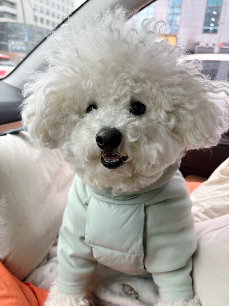 사진 4