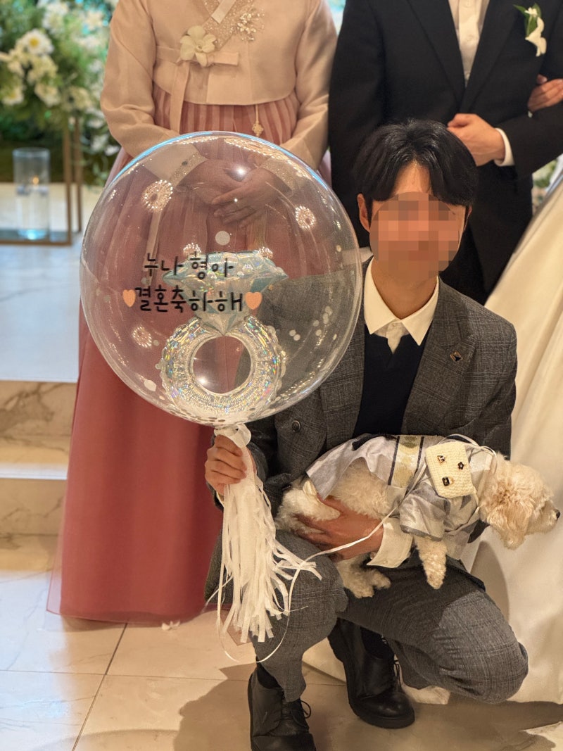 대전풍선 바비드블랙 강아지화동 헬륨풍선 추천