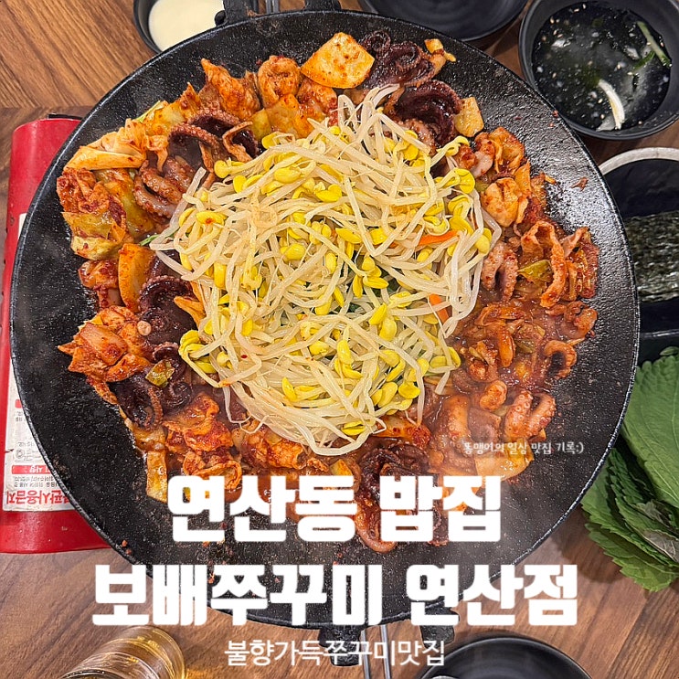 연산동밥집 보배쭈꾸미 연산점 불맛 가득한 쭈꾸미 맛집