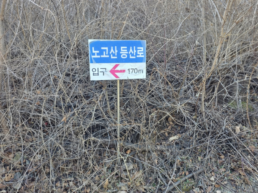 노고산 사진 3