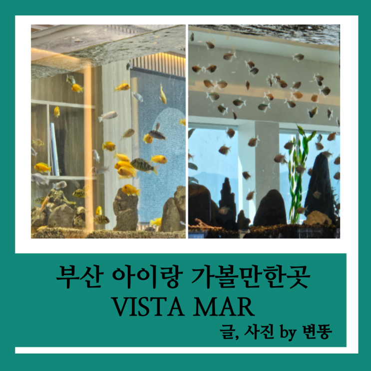  부산 아이랑 가볼만한곳: 수족관 카페 VISTA MAR 내돈내산 찐 후기!!!(주말에 사람 붐벼요. 생각보다 어항이 없어서 실망...ㅠㅠ)