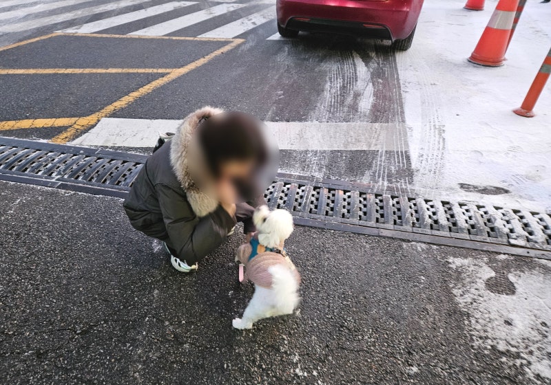 사진 3