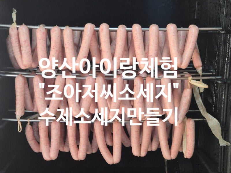 양산 조아저씨 수제 소세지 만들기, 아이가 직접 만든 소세지로 피자 체험까지!