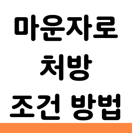  마운자로 처방 기준 조건 방법