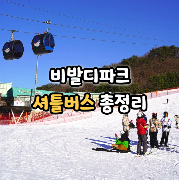 홍천 비발디파크 셔틀버스 예약 방법 타는 곳 시간 정리
