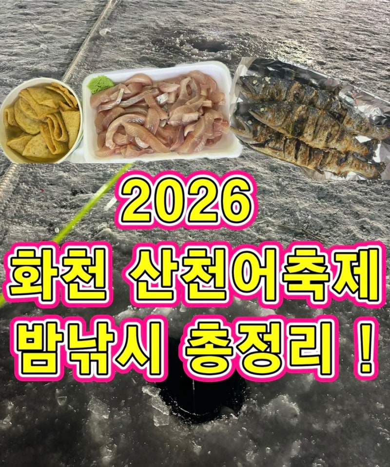 2026년 ‘화천 산천어축제’ 밤(야간)낚시 후기, 무료,금반지이벤트,준비물,회,구이,꿀팁