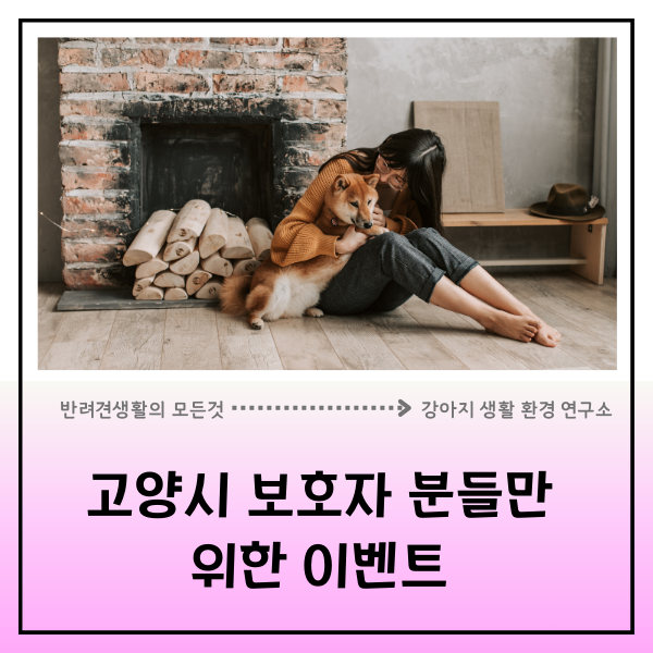  고양시 반려인 필독! 7만 원 펫 아로마 마사지 클래스가 1만 원? (선착순 10명)