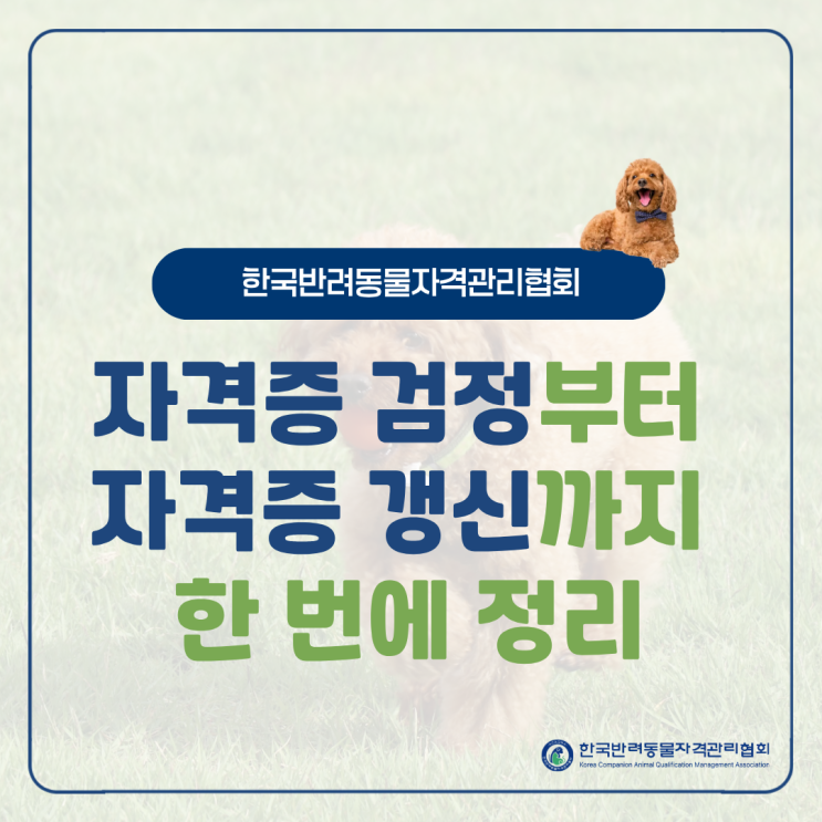  한국반려동물자격관리협회｜자격증 검정부터 갱신까지 한 번에 정리
