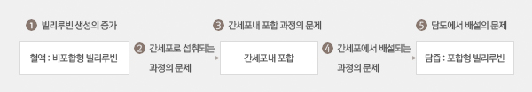 선천성 대사 장애로 인한 고빌리루빈혈증[hyperbilirubinemia]