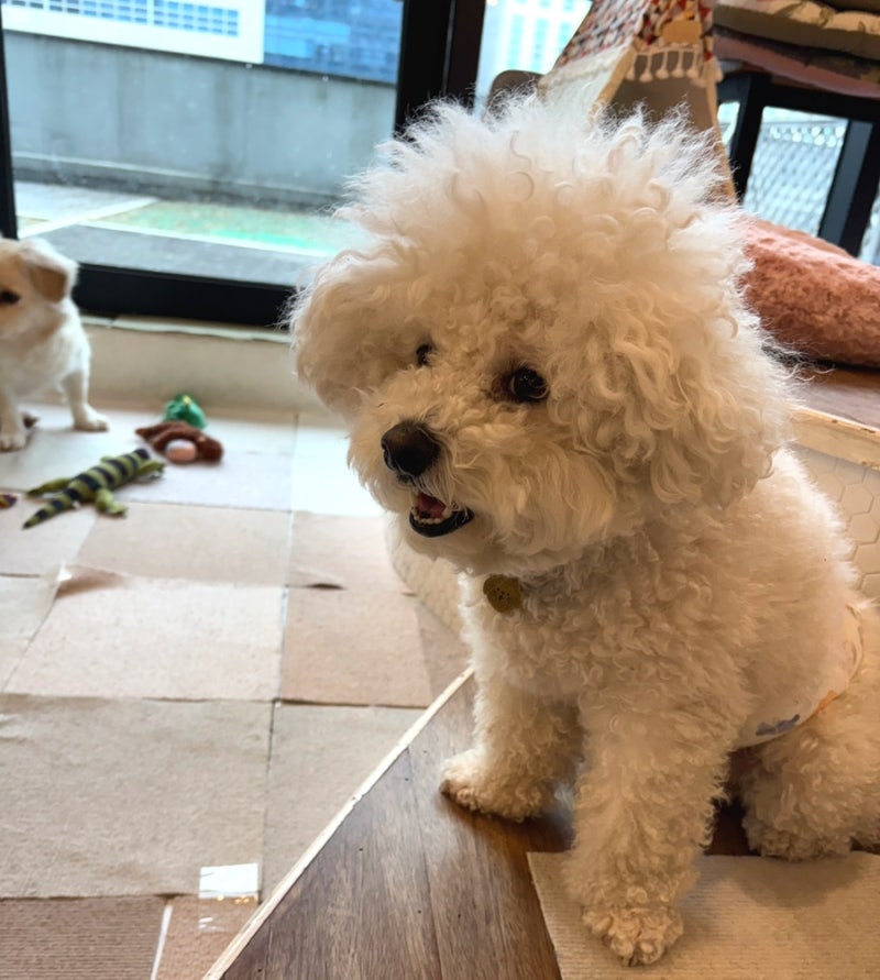 사진 3