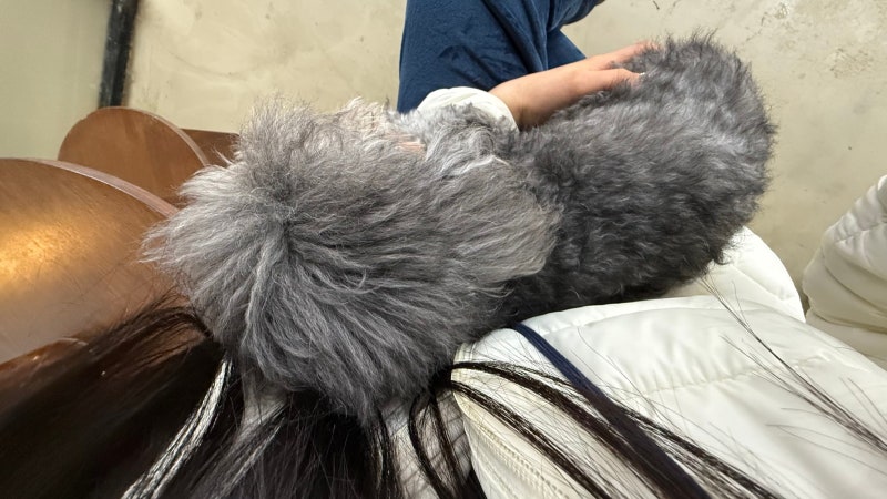 사진 5
