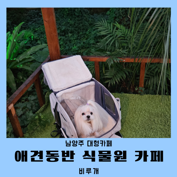  남양주 식물원카페 비루개 애견동반 카페 후기