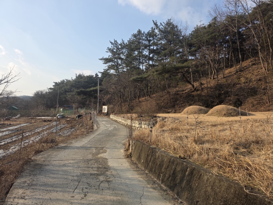 노고산 사진 4