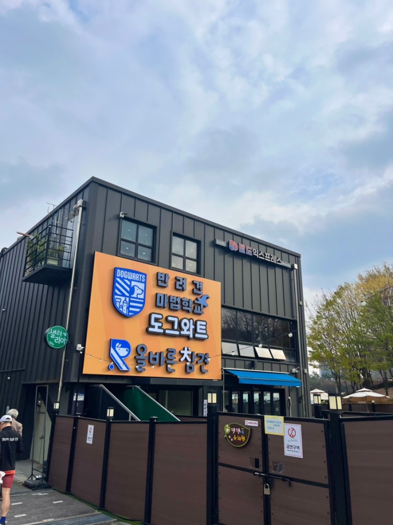 사진 7